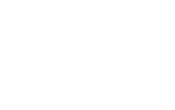 Home 43 Vector 13